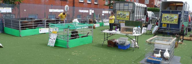 Fishers Mobile Farm visit to Revoe Primary in Blackpool