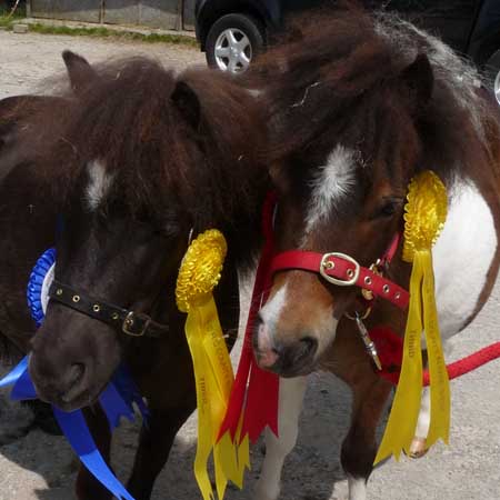 Dodge & Jim - winning brothers!