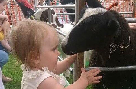 Mini Farm @ Stockport Carnival