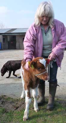 Fishers Mobile Farm